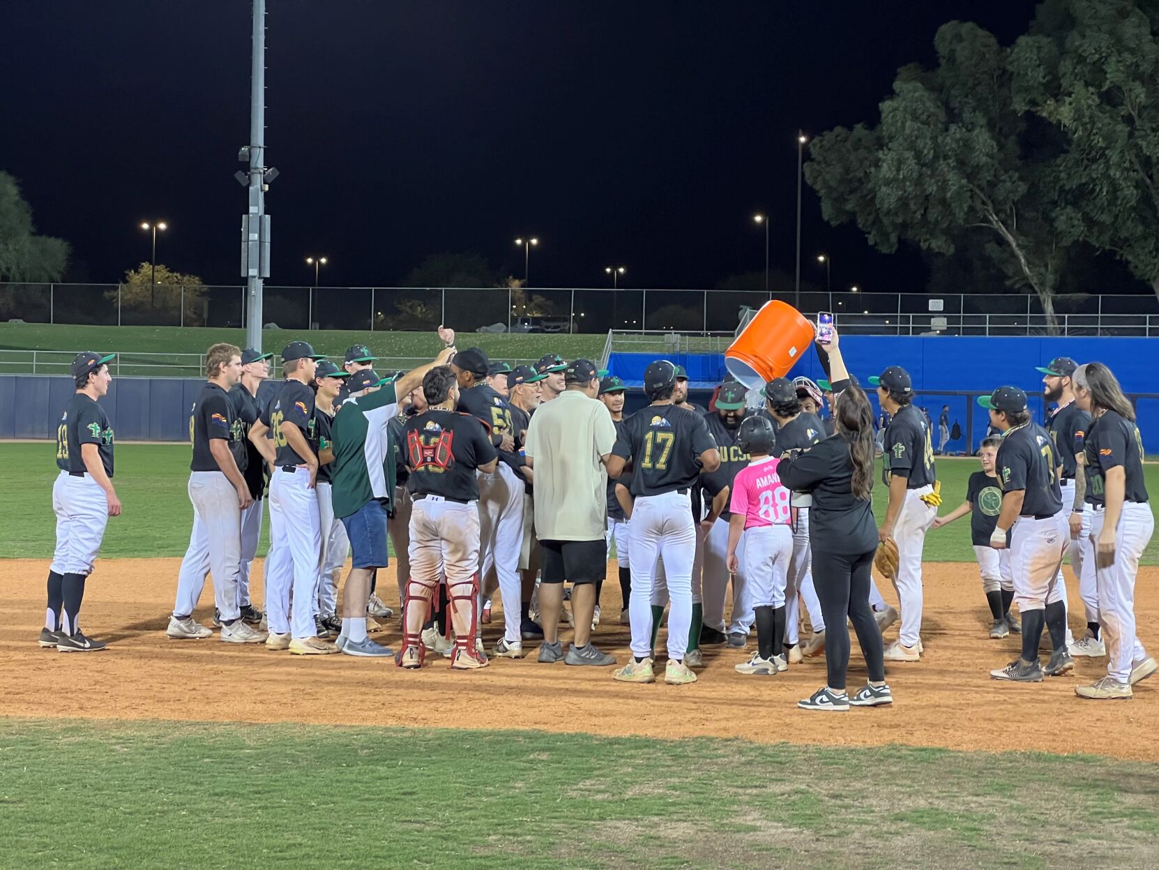 saguaros p3.jpg